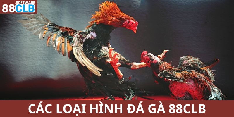 Các loại hình đa dạng tại đá gà 88CLB