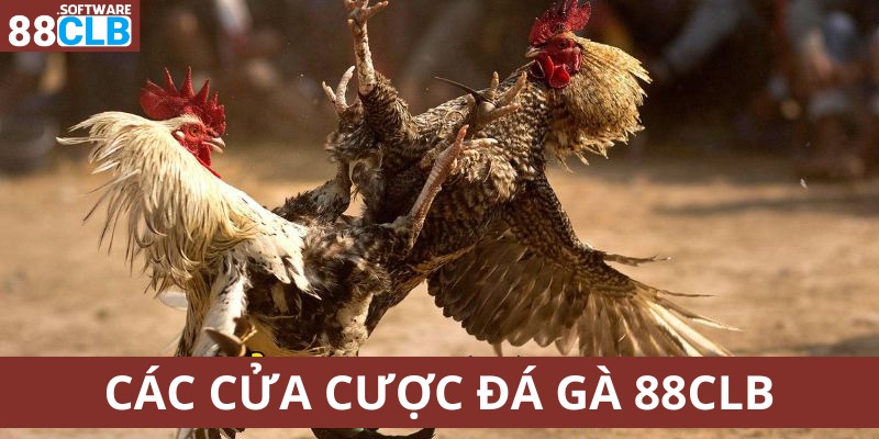 Cửa cược trong đá gà cựa dao 88CLB